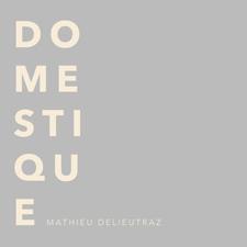 Domestique